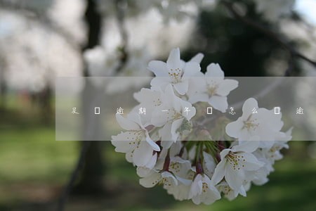 及貸逾期一年會怎么樣(逾期貸款會怎么樣)