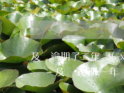 及貸逾期了二年現(xiàn)在想還怎么還-及貸逾期一年會怎么樣