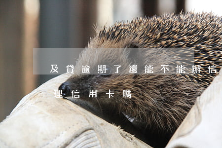 及貸逾期了還能不能辦信用卡(逾期了還能辦理信用卡嗎)