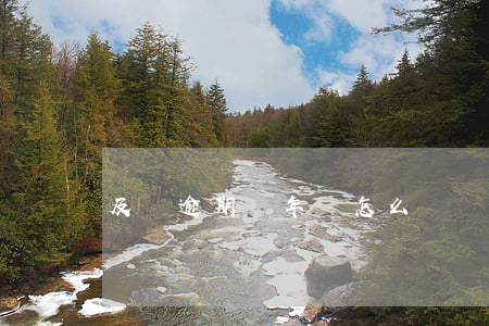 及貸逾期兩年會怎么樣(貸款逾期很久會怎么樣)