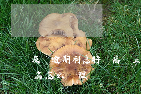 及貸逾期利息特別高還上征信了-及貸利息高怎么處理