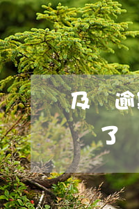 及貸逾期半年(及貸逾期三年了是不是不需要還了?)
