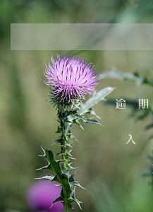 及貸逾期幾天上征信，警惕！及貸逾期幾天將被記錄入個人征信報告