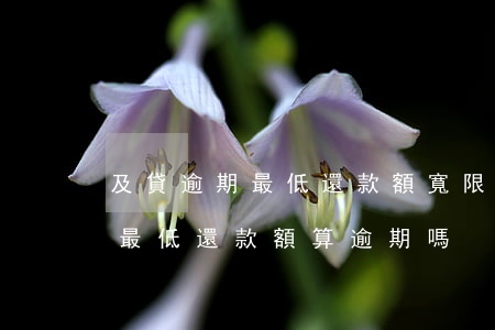 及貸逾期最低還款額(寬限期內(nèi)還最低還款額算逾期嗎)