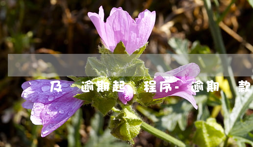 及貸逾期起訴程序-逾期貸款起訴流程