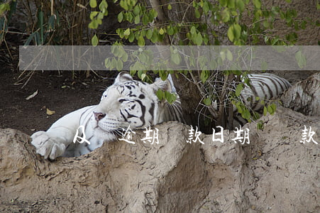 及貸逾期還款日期(還貸款多久算逾期)