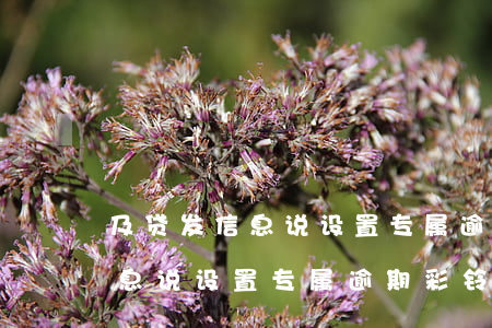 及贷发信息说设置专属逾期彩铃-及贷发信息说设置专属逾期彩铃是真的吗