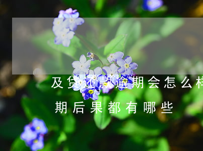 及贷还款逾期会怎么样(及贷上征信吗?及贷逾期后果都有哪些?)
