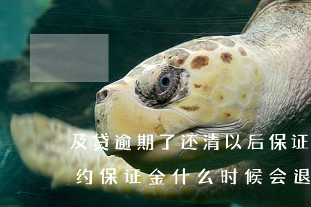 及贷逾期了还清以后保证金能退不(及贷的履约保证金什么时候会退吗)