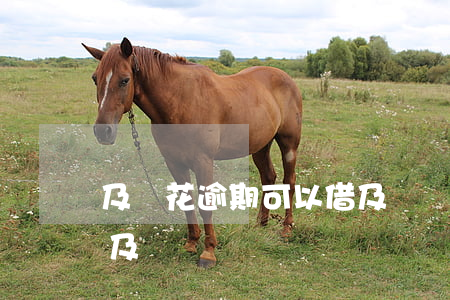 及錢花逾期可以借及貸嗎(及錢花逾期可以借及貸嗎)