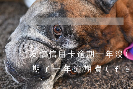 友信信用卡逾期一年沒(méi)還(友信逾期了一年逾期費(fèi)用很高怎么辦?)