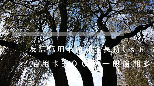友信信用卡逾期多長時(shí)間上門(欠信用卡3000一般逾期多久會(huì)立案)