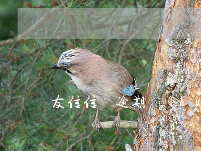 友信信貸逾期會(huì)起訴嗎