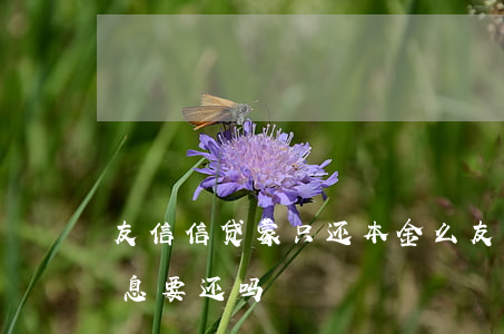 友信信贷蒙只还本金么(友信贷款本金以还利息要还吗)