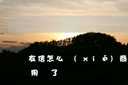 友信怎么協(xié)商還款(友信是不是不用還了)