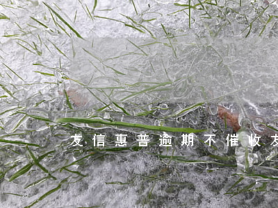 友信惠普逾期不催收(友信普惠催款流程)