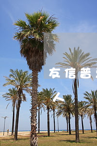 友信普惠有逾期能起訴嗎(友信普惠會起訴個人嗎)