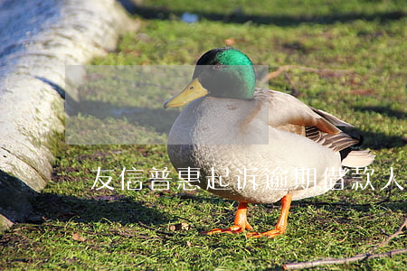 友信普惠起诉逾期借款人(友信贷款法院判决)