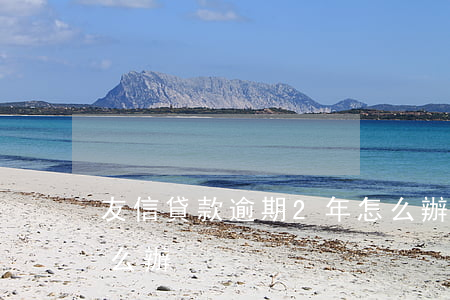 友信貸款逾期2年怎么辦(信用貸款逾期了怎么辦)