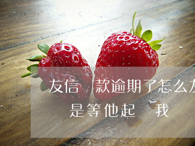 友信貸款逾期了怎么(友信逾期了 是我起訴他還是等他起訴我)