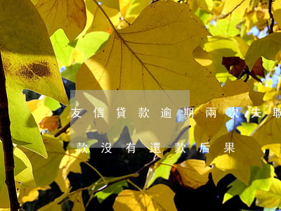 友信貸款逾期兩次失聯(lián)(友信貸款沒有還款后果)