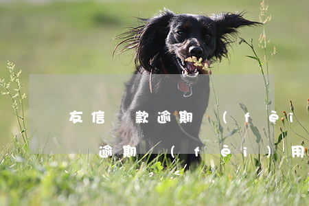 友信貸款逾期費(fèi)用是多少(友信信貸逾期費(fèi)用太高,還不上怎么辦)