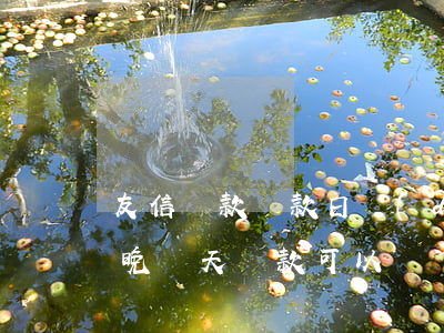 友信貸款還款日當(dāng)天逾期(友信晚幾天還款可以嗎)