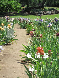 友信起訴法院不受理（友信逾期會(huì)起訴嗎）