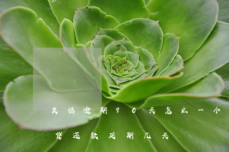 友信逾期90天怎么一个电话没有-友信信贷还款延期几天