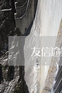 友信逾期一天(友信逾期了一天,第二天沒(méi)人問(wèn)了,怎么回事)