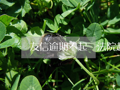 友信逾期不起訴(法院起訴友信)