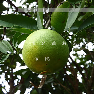 友信逾期了多久会被起诉-友信会不会上诉法院