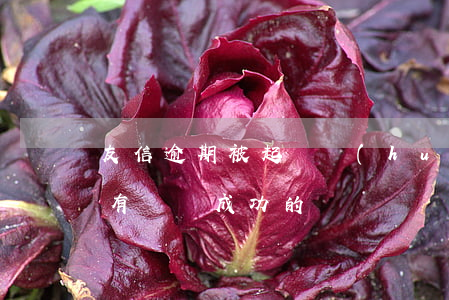 友信逾期被起訴會(huì)怎樣(友信信貸有訴訟成功的嗎)
