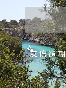 友信逾期還款后怎么還(友信是不是不用還了)