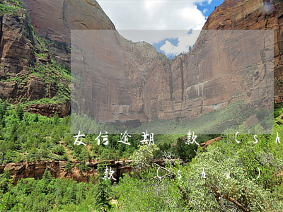友信逾期還款數(shù)額增加(友信逾期還款數(shù)額增加)