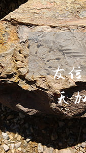 友信還款逾期手續(xù)費高(友信逾期一天,加收逾期費用屬于合法的嘛)