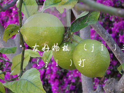 友好物租機(jī)逾期10天 友好物租機(jī)打電話嗎
