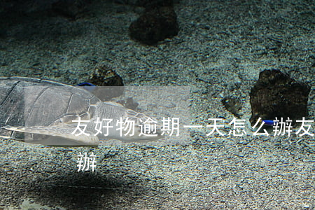 友好物逾期一天怎么辦（友好物逾期一天怎么辦）
