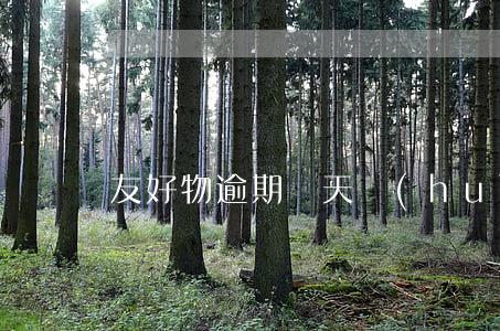 友好物逾期兩天會(huì)怎么樣
