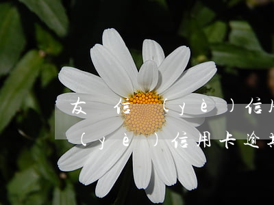 友眾信業(yè)信用卡逾期利息(友眾信業(yè)信用卡逾期利息多少)