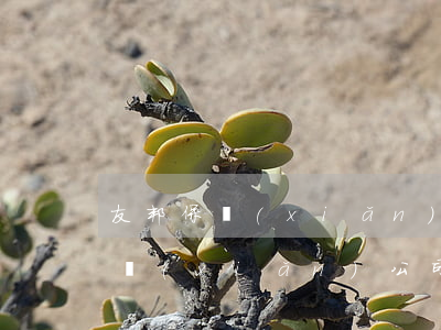 友邦保險(xiǎn)交通事故賠付(友邦保險(xiǎn)公司怎么樣,理賠)