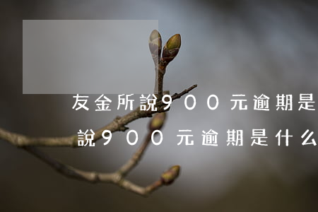 友金所說900元逾期是什么意思-友金所說900元逾期是什么意思啊