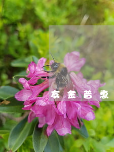 友金普惠逾期多久起訴 友金普惠投訴電話