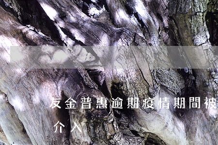 友金普惠逾期疫情期間被起訴 友金普惠警方介入