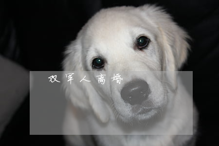 双军人离婚