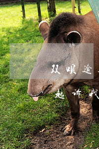 双呗逾期多少才会被起诉(省呗逾期多少天会起诉,我已经还了2000多)