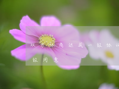 双方协商达成一致协议怎么写(经双方协商一致同意)