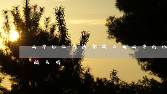 双方协议有法律效力吗(双方的协议能有法律效果吗?)