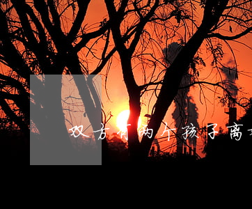 双方有两个孩子离婚