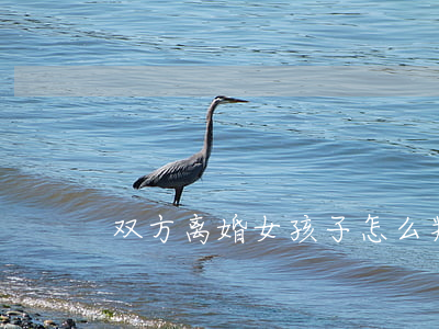 双方离婚女孩子怎么判(离婚两个女孩怎么判)